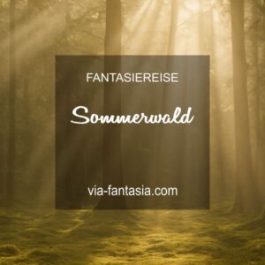 Fantasiereise Sommerwald Via-Fantasia Onlineshop
