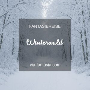 Fantasiereise Winterwald Via-Fantasia Onlineshop